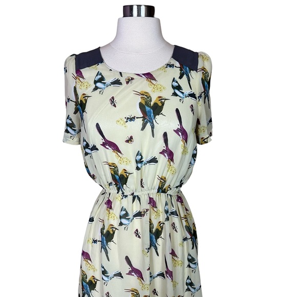 Angel Eye Whimsical Bird Colorblock Scoop Neck Short Sleeve Lined Mini Dress M - Picture 3 of 8